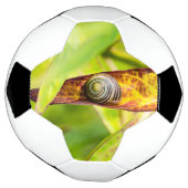 kalm gehecht voetbal (Gedraaid)