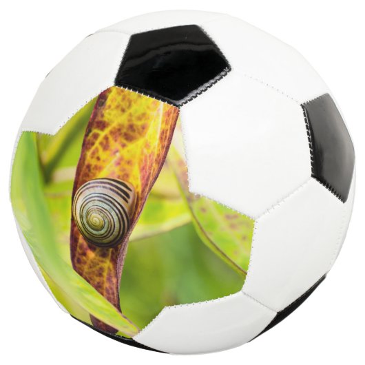 kalm gehecht voetbal (Drie kwart)