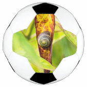 kalm gehecht voetbal (Voorkant)