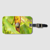 kalm gehechtheid bagagelabel (Voorkant (horizontaal))