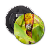 kalm gehechtheid button flesopener (Voorkant)