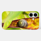 kalm gehechtheid Case-Mate iPhone case (Achterkant (horizontaal))