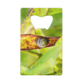 kalm gehechtheid creditkaart flessenopener (Voorkant)