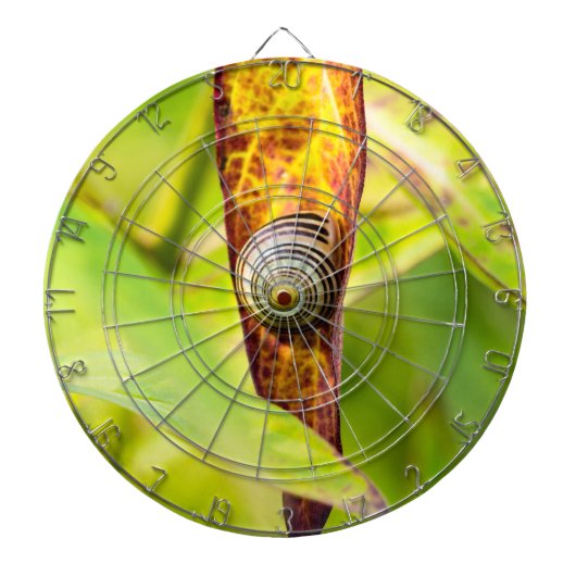 kalm gehechtheid dartbord (Voorkant)