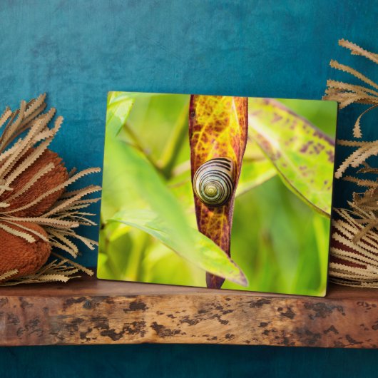 kalm gehechtheid fotoplaat (Zijkant)