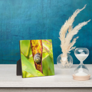 kalm gehechtheid fotoplaat