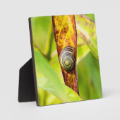 kalm gehechtheid fotoplaat (Voorkant)