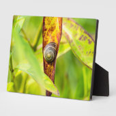 kalm gehechtheid fotoplaat (Zijkant)