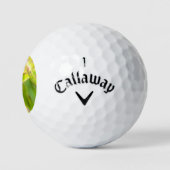 kalm gehechtheid golfballen (Logo)