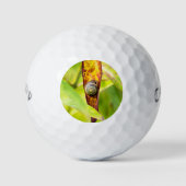 kalm gehechtheid golfballen (Voorkant)