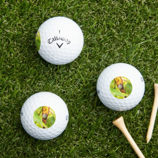 kalm gehechtheid golfballen (Insitu Gras)