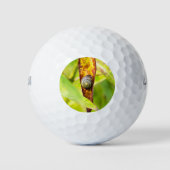 kalm gehechtheid golfballen (Voorkant)