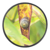 kalm gehechtheid hockey puck (Voorkant)