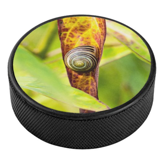 kalm gehechtheid hockey puck (3/4)