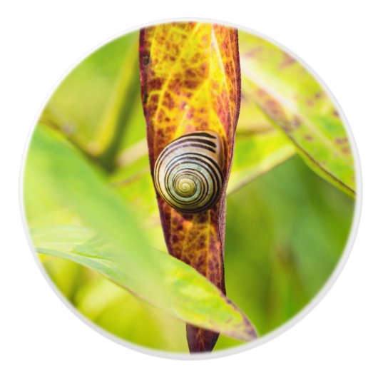 kalm gehechtheid keramische knop (Voorkant)