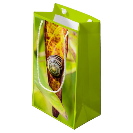 kalm gehechtheid klein cadeauzakje (Voorkant Gekanteld)