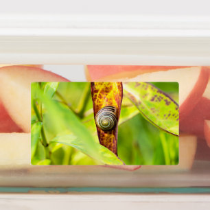 kalm gehechtheid labels