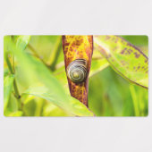 kalm gehechtheid labels (Design 2)