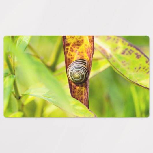 kalm gehechtheid labels (Design 2)