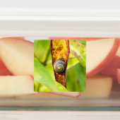 kalm gehechtheid labels (Aangebracht)