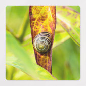 kalm gehechtheid labels (Design 2)