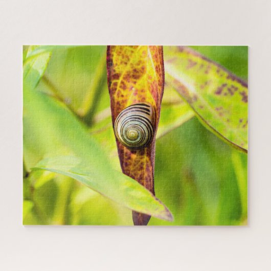 kalm gehechtheid legpuzzel (Horizontaal)