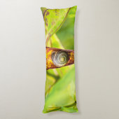 kalm gehechtheid lichaamskussen (Achterkant (Verticaal))