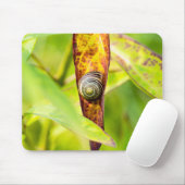 kalm gehechtheid muismat (Met muis)