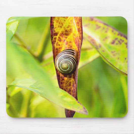 kalm gehechtheid muismat (Voorkant)