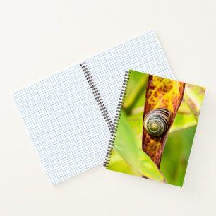 kalm gehechtheid notitieboek