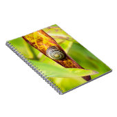 kalm gehechtheid notitieboek (Rechterzijde)