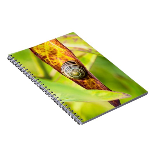 kalm gehechtheid notitieboek (Rechterzijde)