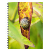 kalm gehechtheid notitieboek (Voorkant)