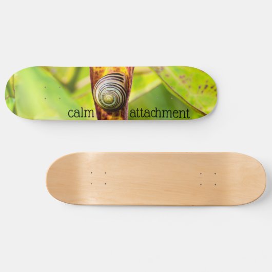 kalm gehechtheid persoonlijk skateboard (Horizontaal)