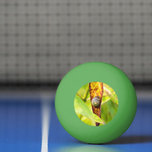 kalm gehechtheid pingpongbal (Net)