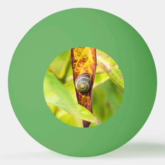 kalm gehechtheid pingpongbal (Voorkant)