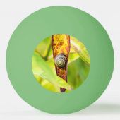 kalm gehechtheid pingpongbal (Achterkant)