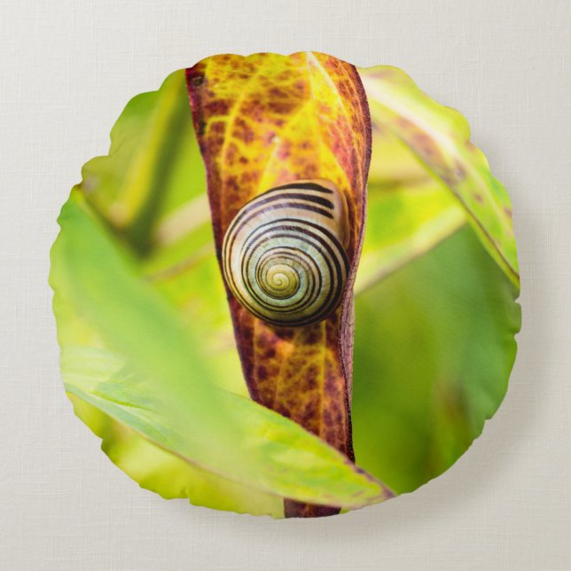 kalm gehechtheid rond kussen (Voorkant)