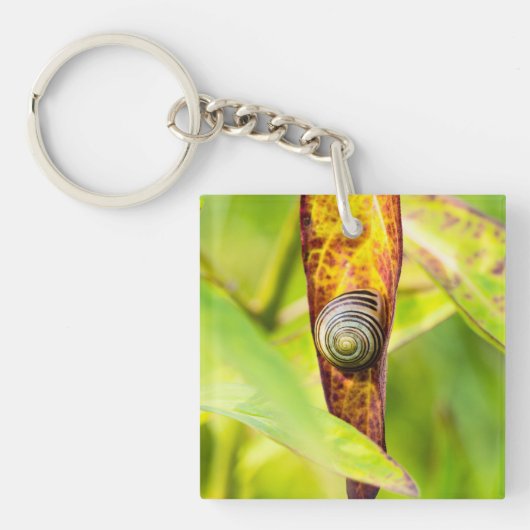 kalm gehechtheid sleutelhanger (Voorkant)