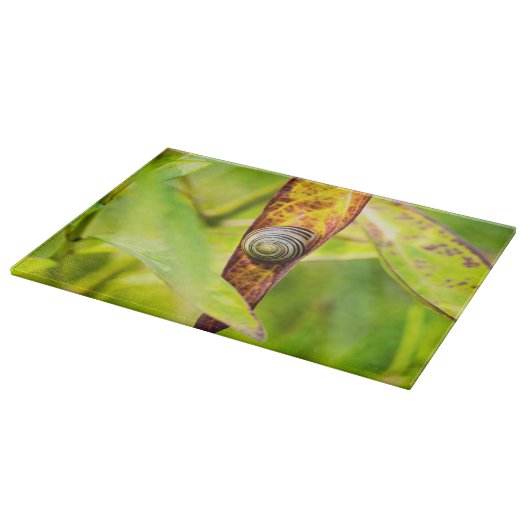 kalm gehechtheid snijplank (Hoek)