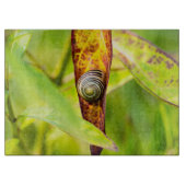 kalm gehechtheid snijplank (Voorkant)