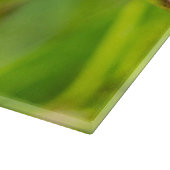 kalm gehechtheid snijplank (Hoek)