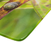 kalm gehechtheid snijplank (Hoek)