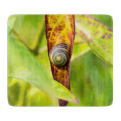 kalm gehechtheid snijplank (Voorkant)