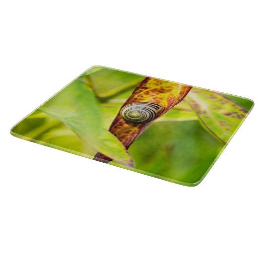 kalm gehechtheid snijplank (Hoek)