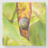 kalm gehechtheid stenen onderzetter (Voorkant)