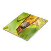 kalm gehechtheid tegeltje (Zijkant)