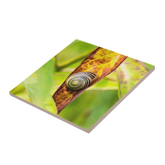 kalm gehechtheid tegeltje (Zijkant)