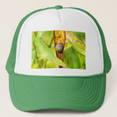 kalm gehechtheid trucker pet (Voorkant)
