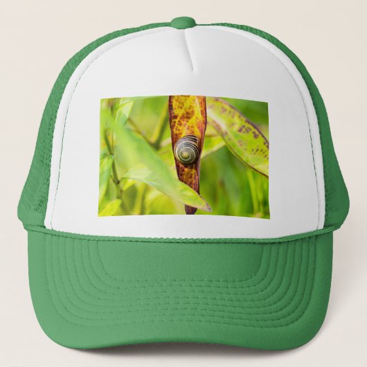 kalm gehechtheid trucker pet (Voorkant)